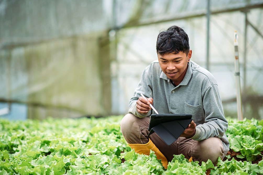 Asian smiling male farmer using digital tablet at greenhouse