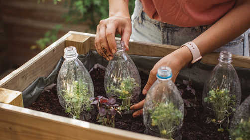 Gardening crafts made with recycled plastic bottles, environmental awareness is important to save our planet