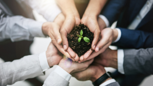 Cropped shot of a team of colleagues holding a plant growing out of soil